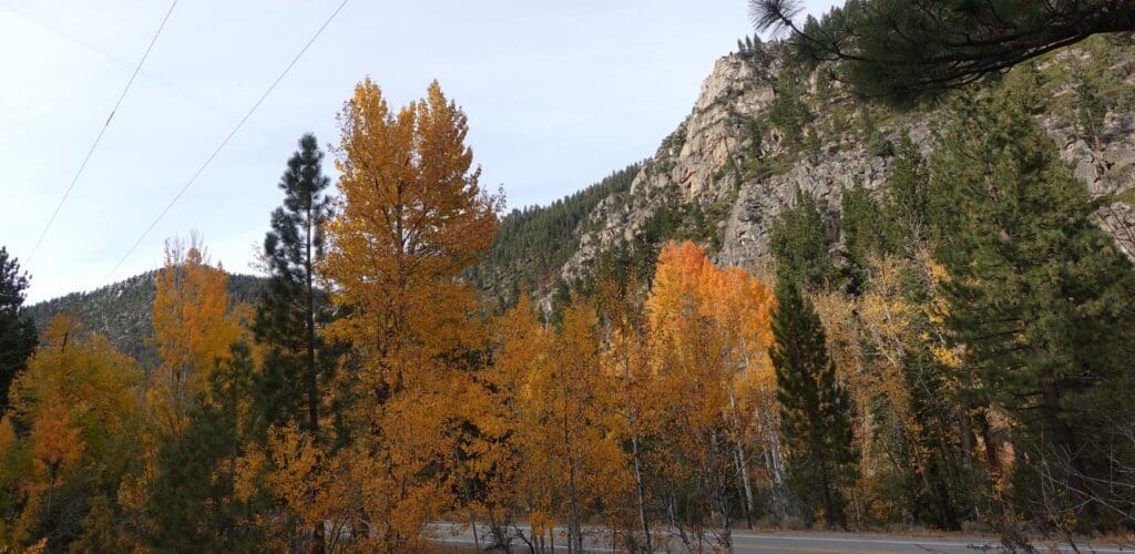 Middle Woodfords Canyon